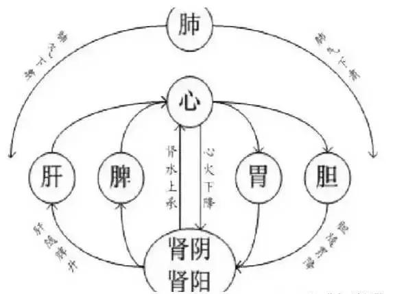 搞懂了一气周流你就是调理身体的顶尖高手