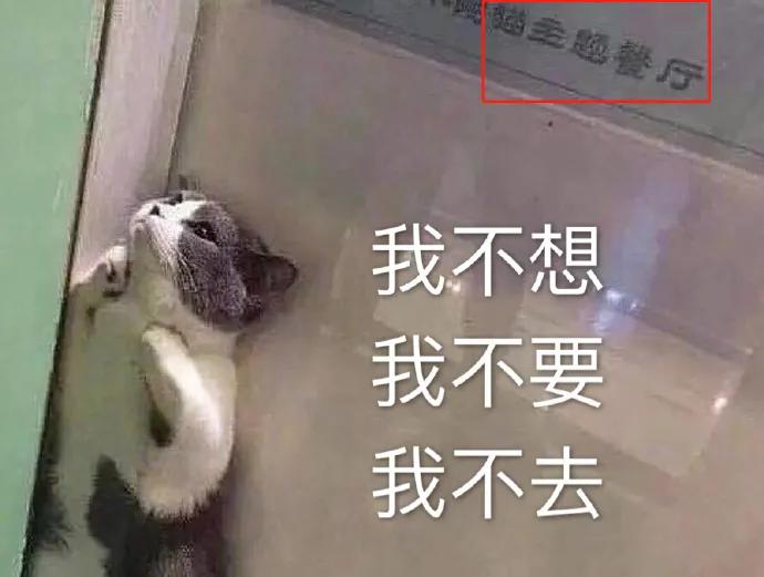 图片[8] - 【xizi被窝段子20191208】不要被任何人阻挡 去你想去的地方吧 - xizi