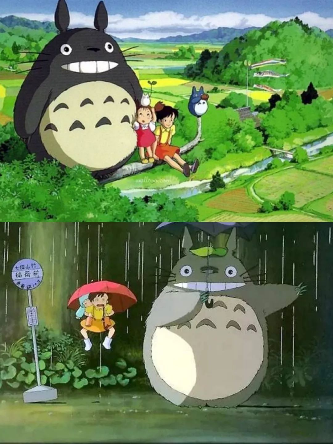 在高高的树枝上我心里的那个龙猫我种下花花草草将乐园环绕会有一个我