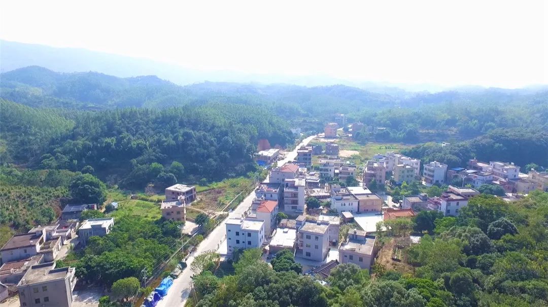 "美丽乡村"候选村|船埔镇樟树村