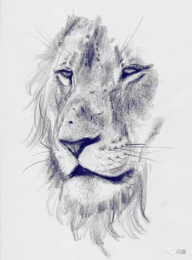 线与面的魅力,值得你学习的优秀速写素描