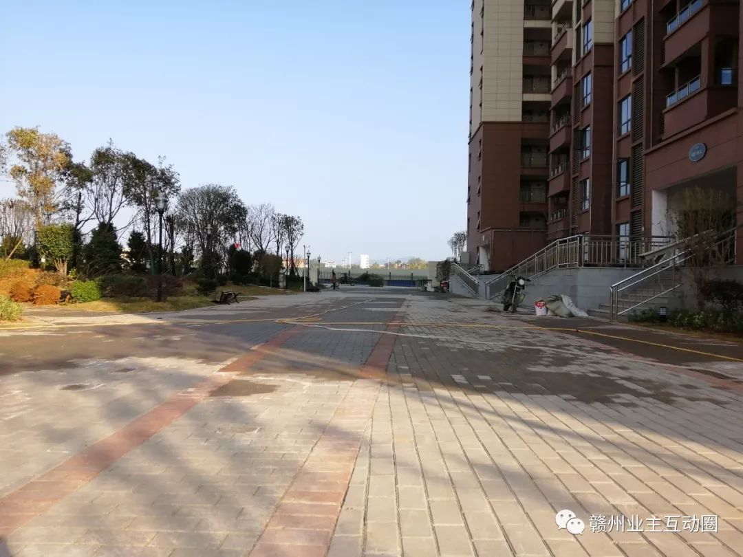 赣州这个小区楼顶蜘蛛网楼下渗水业主心慌慌