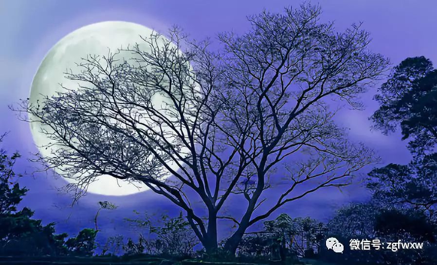 民间故事月照千里