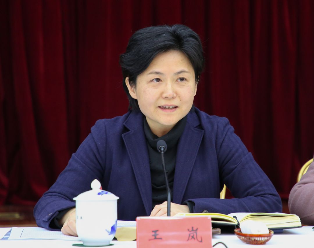 王岚指出,要科学分析,深入把握区域阶段发展特征,坚定不移走转型发展