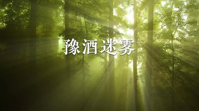 振兴行动两年豫酒走出迷雾了吗