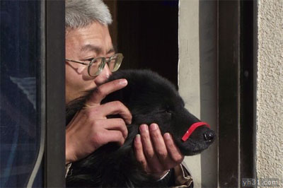 搞笑段子:我是小偷,为什么我说实话都没人相信呢?