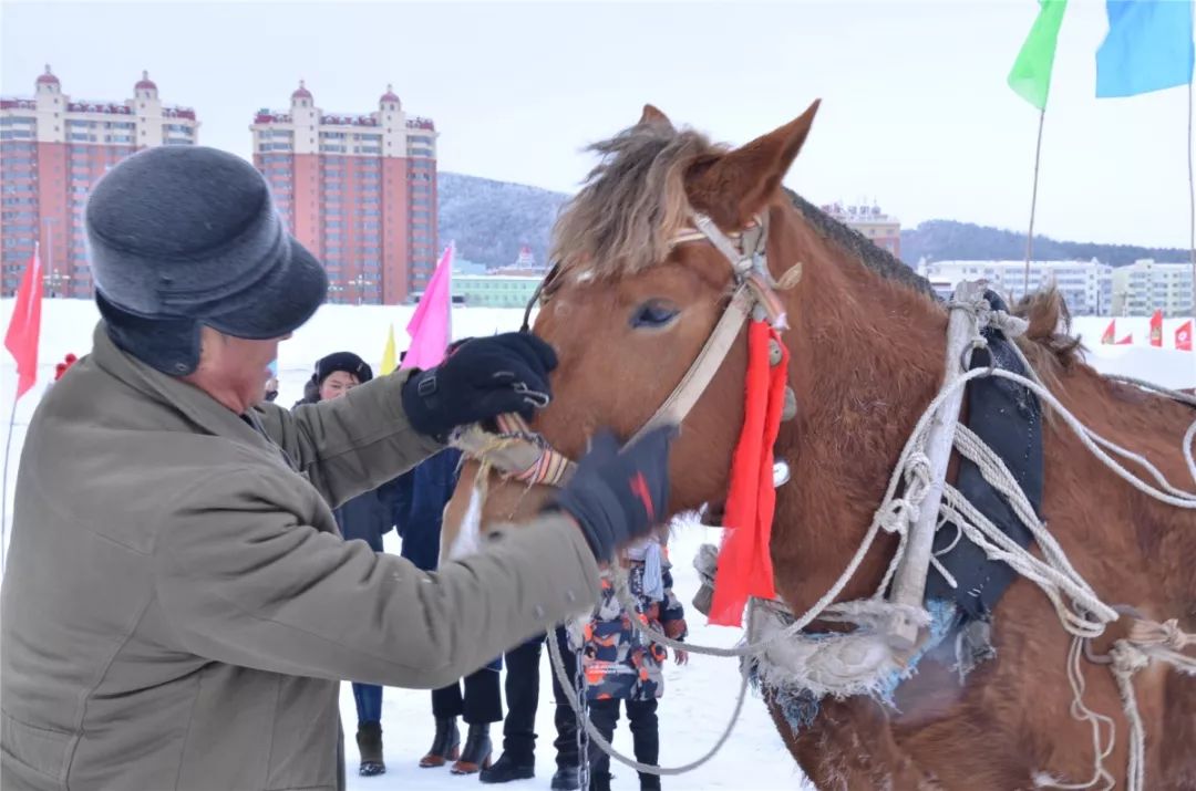 逐日迎新02论剑东极冰马赛事备战进行时