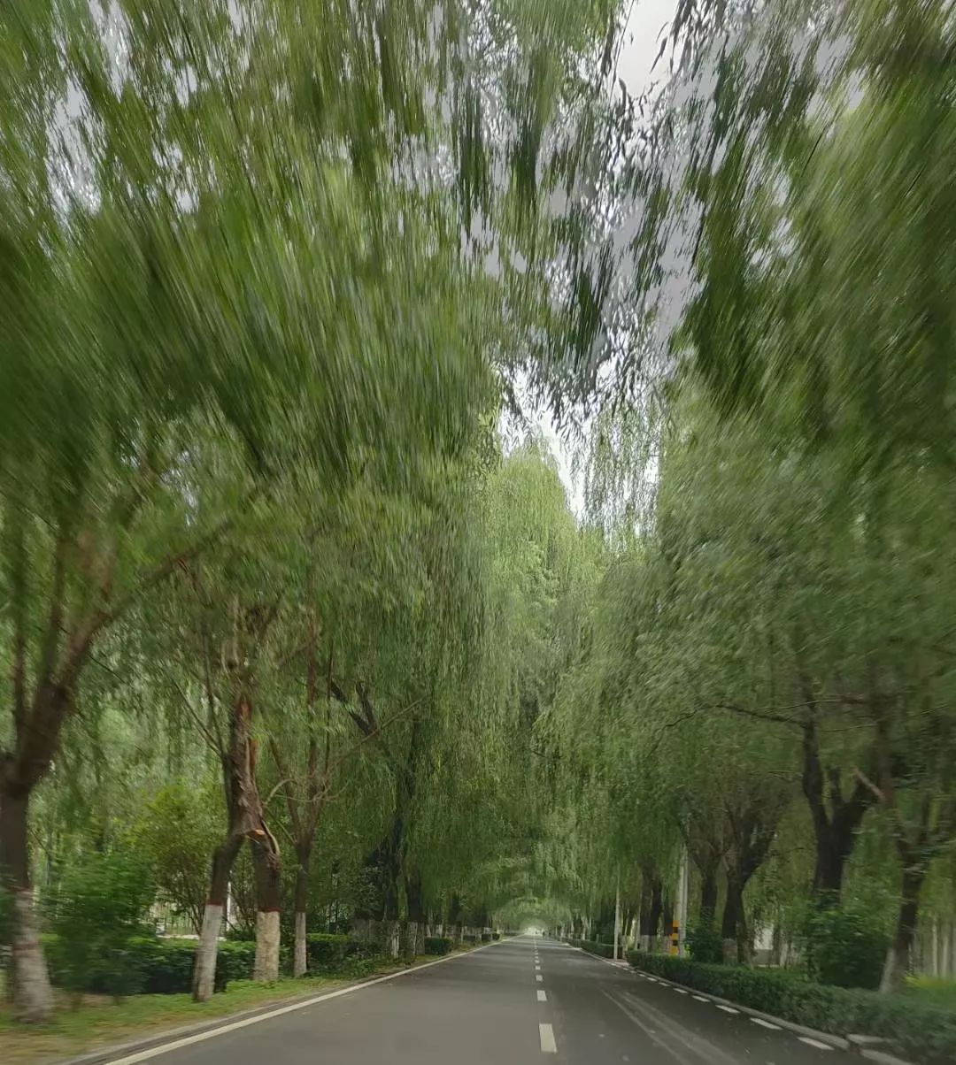 动通美图摄影大赛第三期