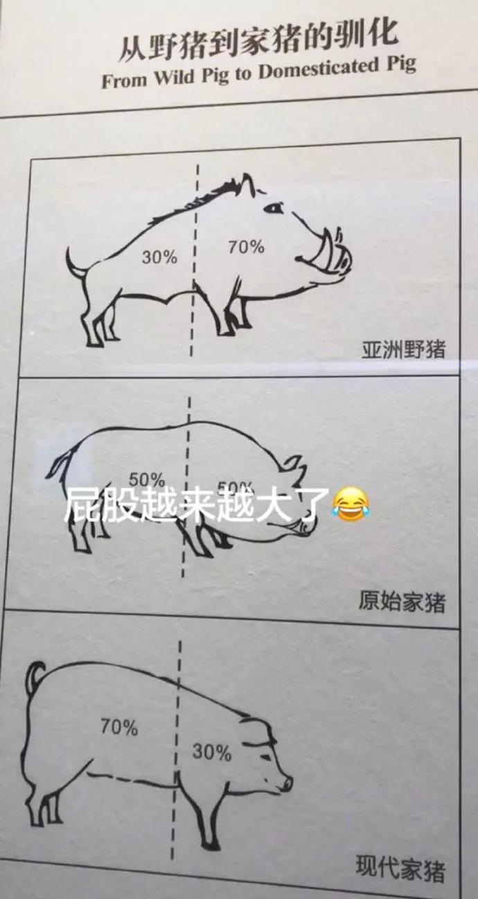 图片[43] - 【xizi被窝段子20191208】不要被任何人阻挡 去你想去的地方吧 - xizi