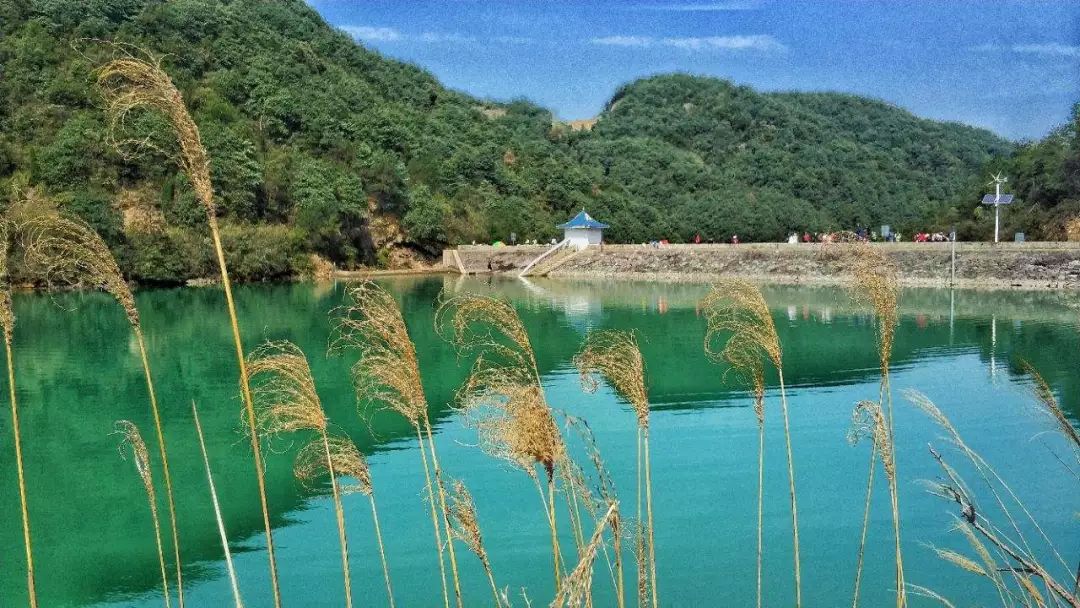 12月14日丨漫步上青古道,寻访真假兰若寺,落花流水竹林悠悠_绍兴