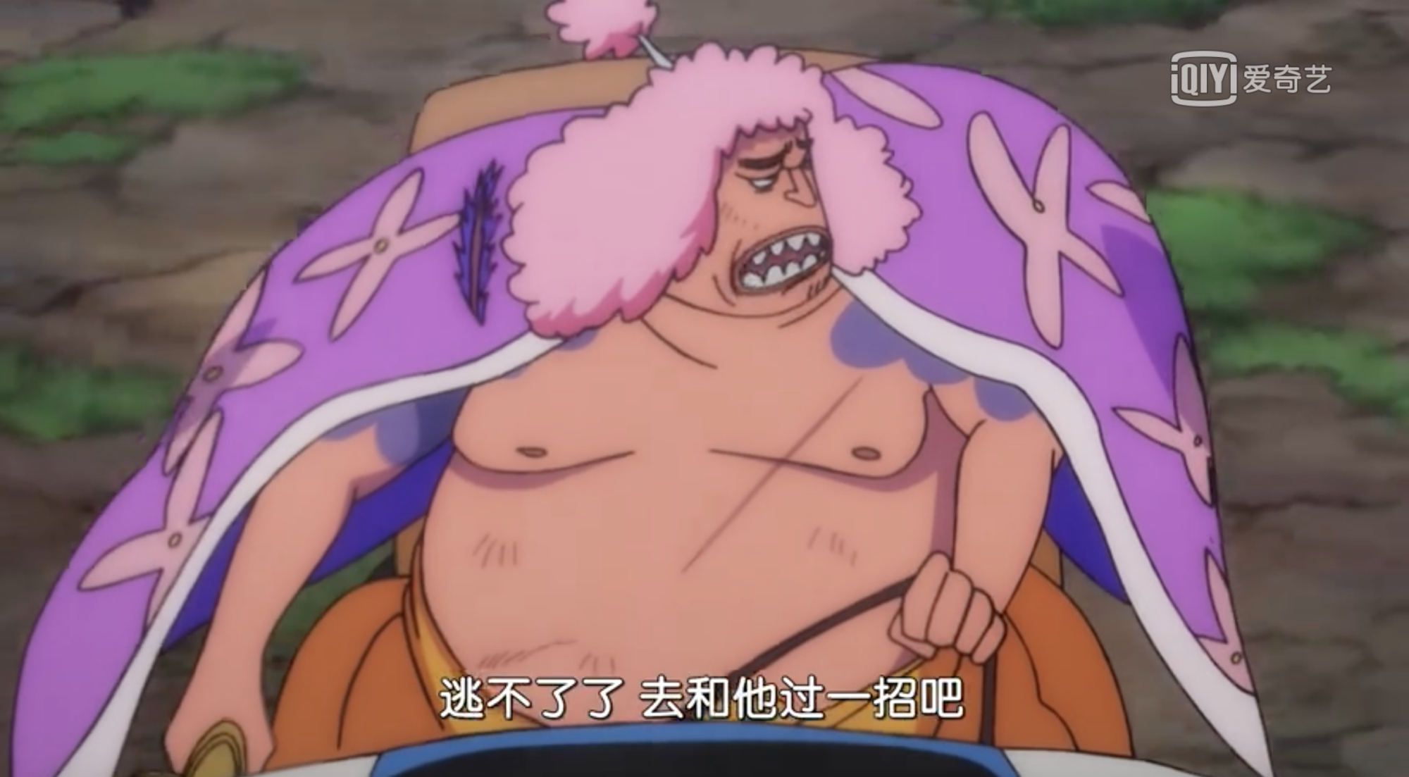 海贼王913集官方证实酒天丸的实力凯多想收他做部下当三灾