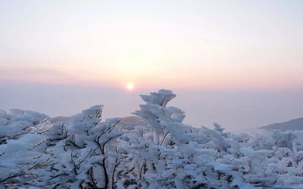 今日大雪 | 亂雲低薄暮,急雪舞迴風