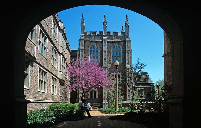 圣路易斯华盛顿大学医学院的医学访问学者申请攻略是什么?