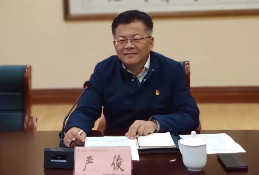 认真剖析批评诚恳真诚坦率九星村党委召开2019年度组织生活会