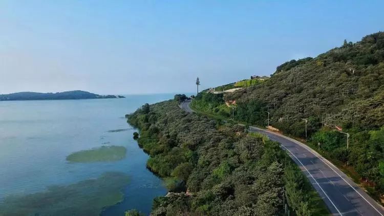 到丰圻大桥上眺望太湖凹个造型,来个朋友圈假装自己在厦门看海哈哈