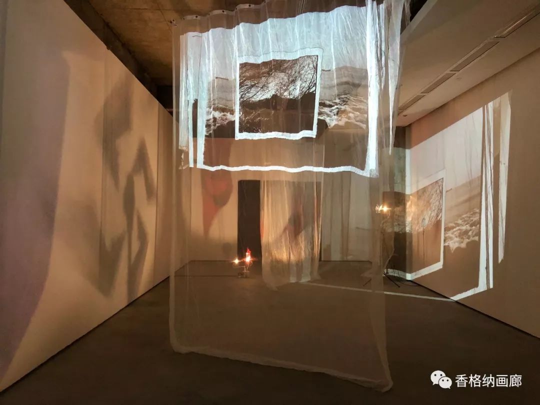 鸟头个展现场,连州摄影博物馆,2019 | installation