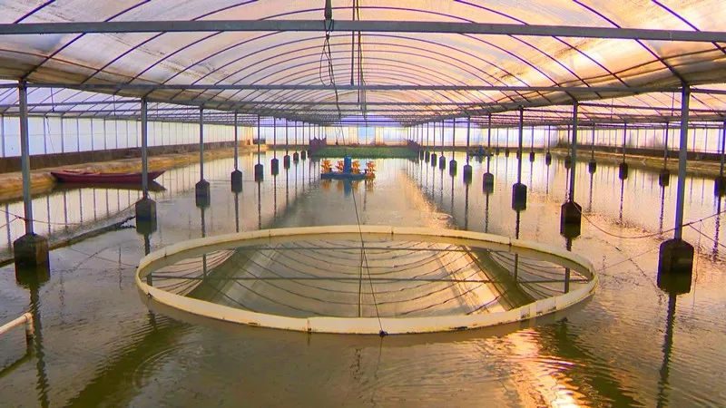 武进打造渔业转型升级模范区推进水产绿色高质量养殖