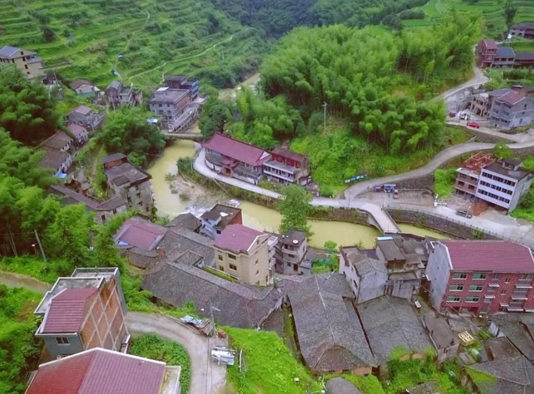 围观青田新增3个省级美丽宜居示范创建村是你的家乡吗
