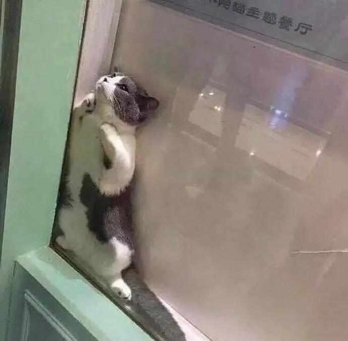 图片[7] - 【xizi被窝段子20191208】不要被任何人阻挡 去你想去的地方吧 - xizi