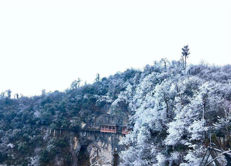 春節期間去張家界旅遊合適嗎有什麼合適的行程推薦