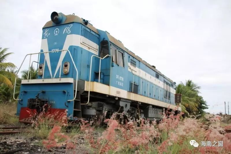 元首蒋介石的专用车辆,因其夫人宋美龄曾乘坐过此车,遂被命名"美龄号"