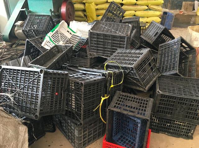 废弃的水果筐塑料盆栽"由于塑胶不能通过填埋直接处理,因此我们通过