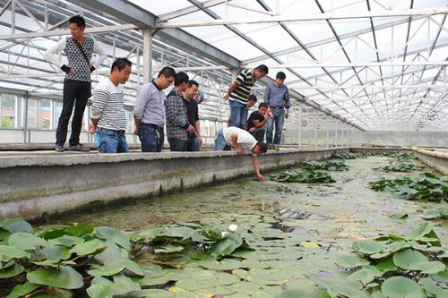 农大9号水蛭蚂蟥养殖教你最新养殖技术高招