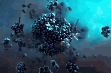 任何外来物质而它们主要的责任人体的血液和某些部位的细胞中它们存在