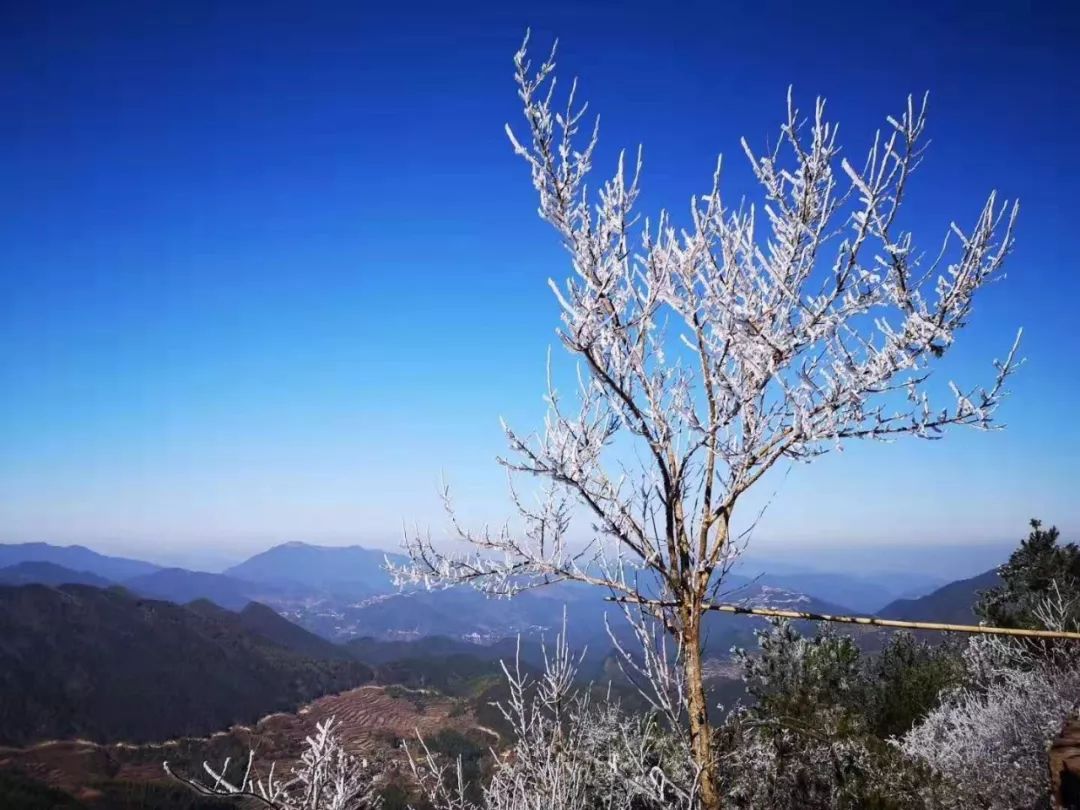 2019年寿宁坑底长岗头雪景出炉