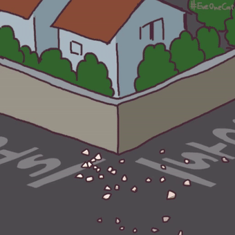 在草原奔跑的魔性猫猫咪牌永动机喵星人这些傲娇生物往往安静时美如画