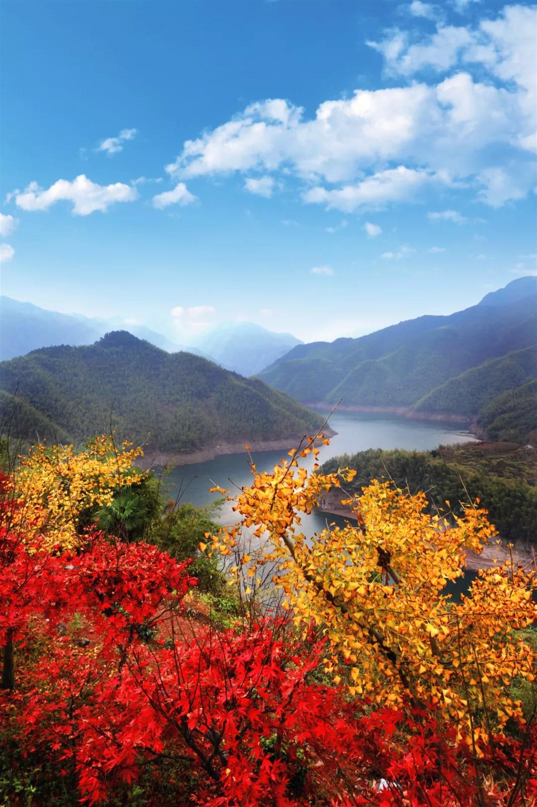 分"唐诗之路线","生态养生线"完成宁波四明山的穿越之旅全程以体验