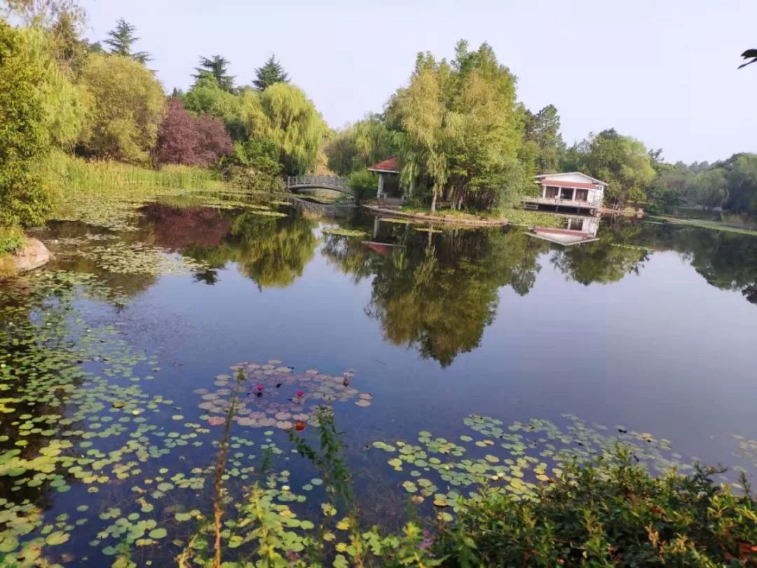 重要通知合肥通园林年卡即将发售