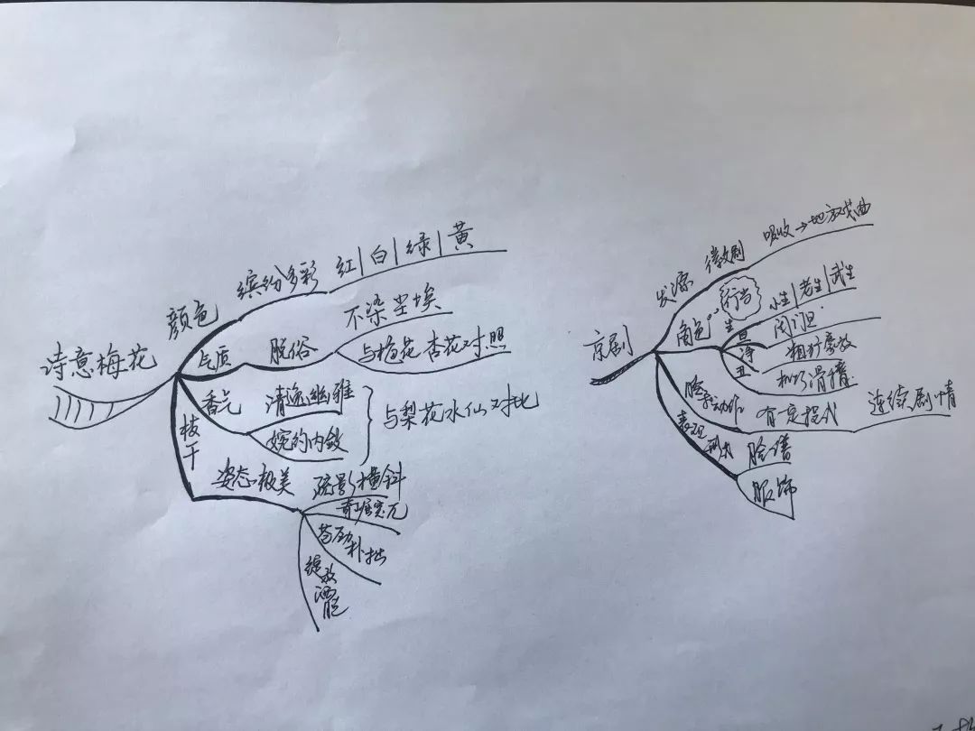 這種新的教育教學手段,對於提高課堂效率,發散學生思維具有積極意義