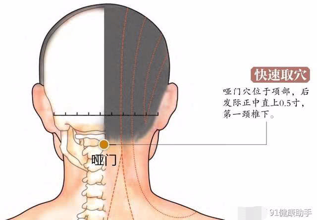 人体哑门的准确位置图图片