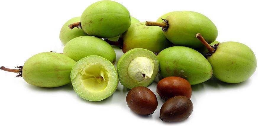 神奇的乳木果油,成了欧美护肤届新贵