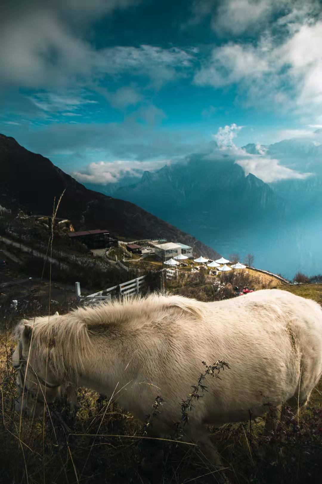 蜀地美景之浮云牧场