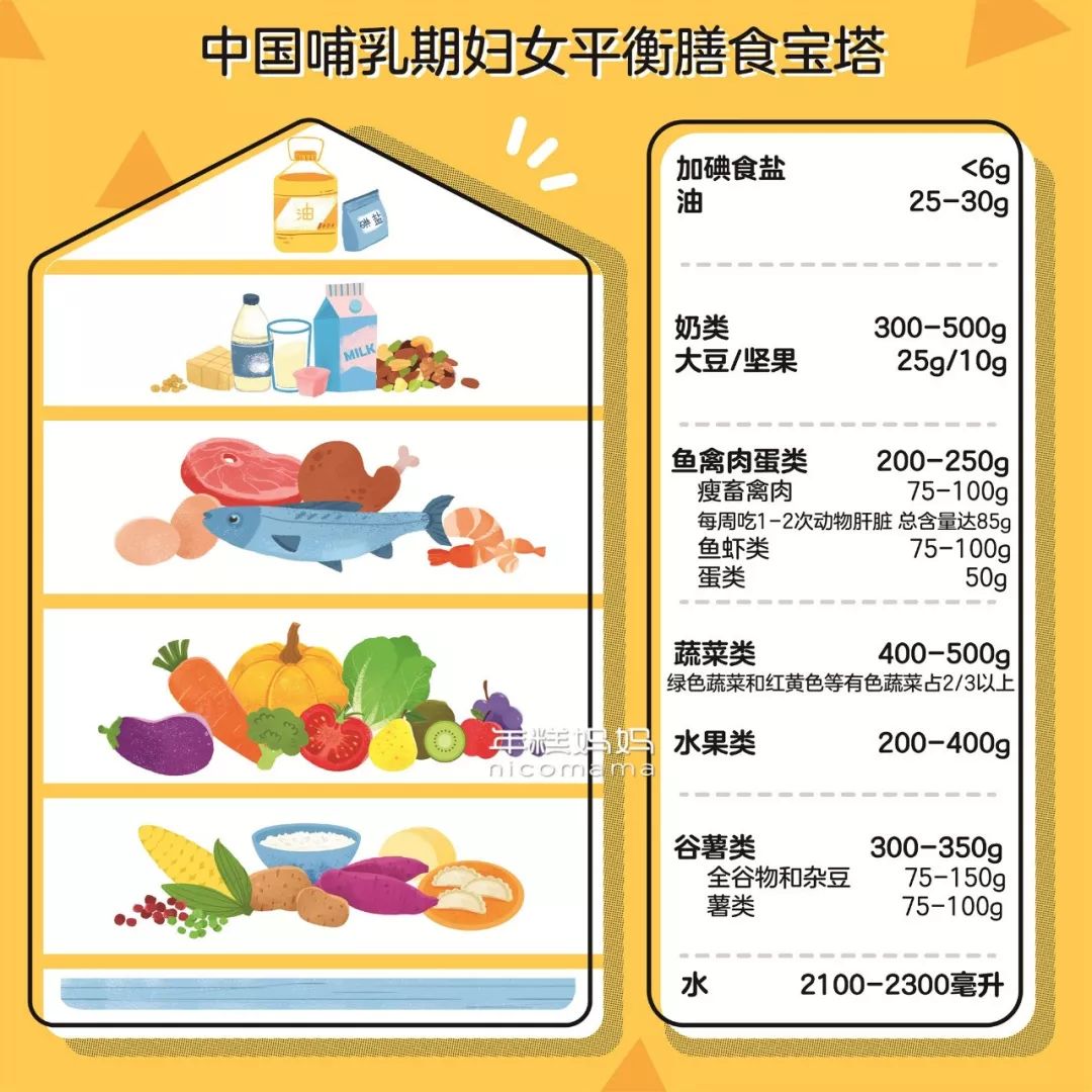 给大家看个很酷的东西: 中国营养学会制定的哺乳期妇女膳食平衡宝塔