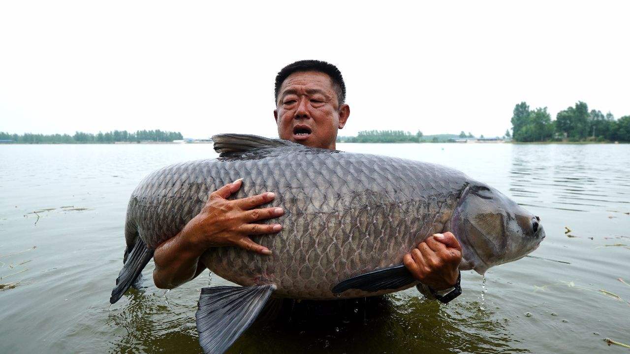 崔秉亮是很多钓友都知道的钓鱼名人,两人都是毋庸置疑的钓鱼大师