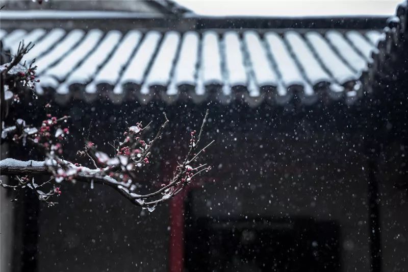 "醉花宜昼,醉雪宜晚,醉美不过院中赏雪.