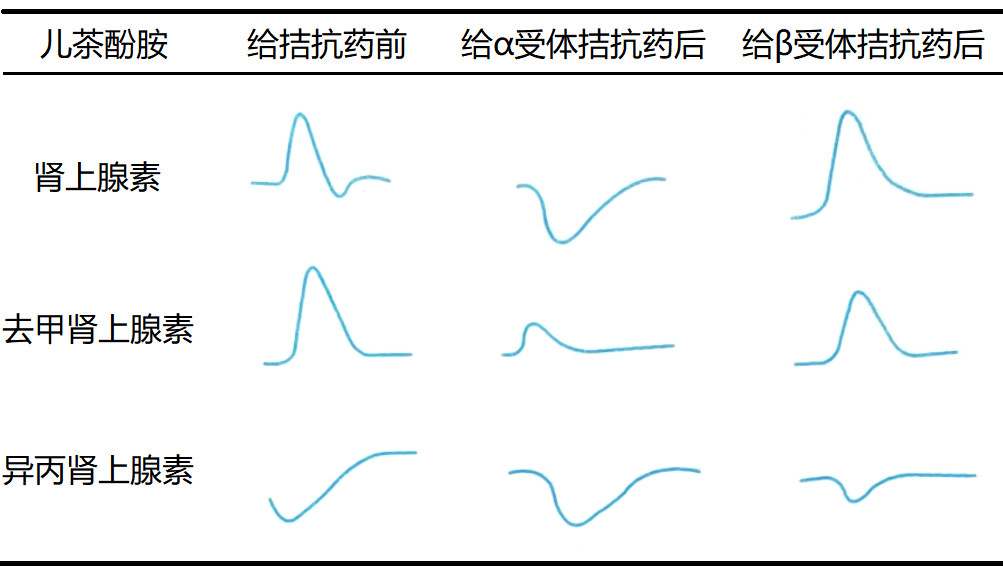 腎上腺素,去甲腎上腺素,異丙腎上腺素對血壓的影響6.