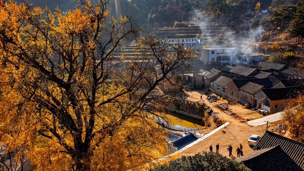 发现金寨! 这个古村落,驻扎过刘邓大军,还有清朝高官文物!