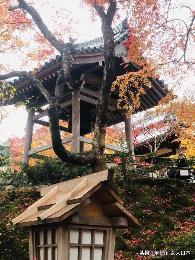 京都长寂光寺赏红叶看多宝塔如果能登上坡就能看多姿多彩的红叶