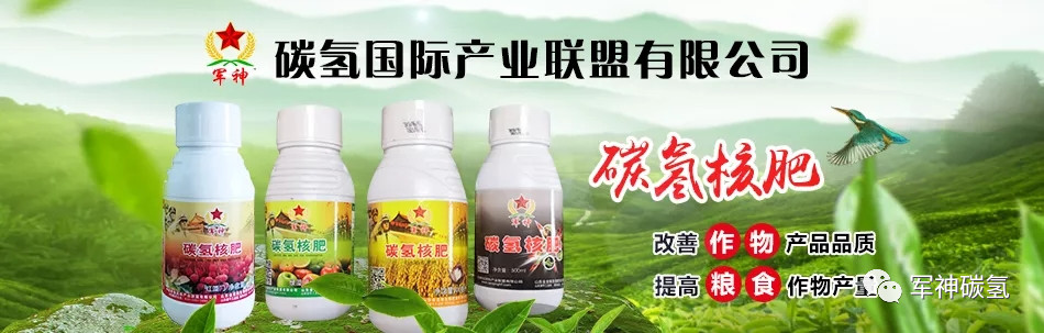 碳氢核肥研发人高光林荣获世界生产率科学成果奖