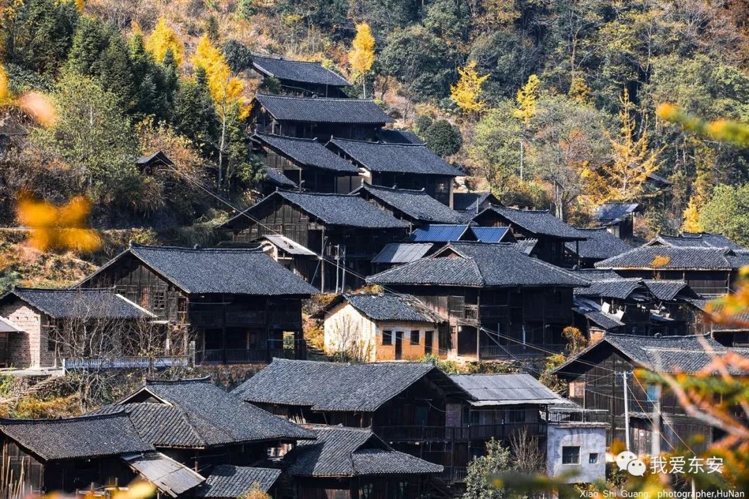 东安:乐子冲古寨 枫叶红了,进入最佳观赏期!