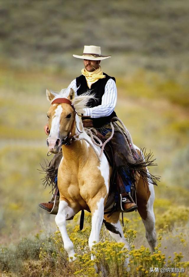 一篇文告诉你美国的西部牛仔是怎样练成的