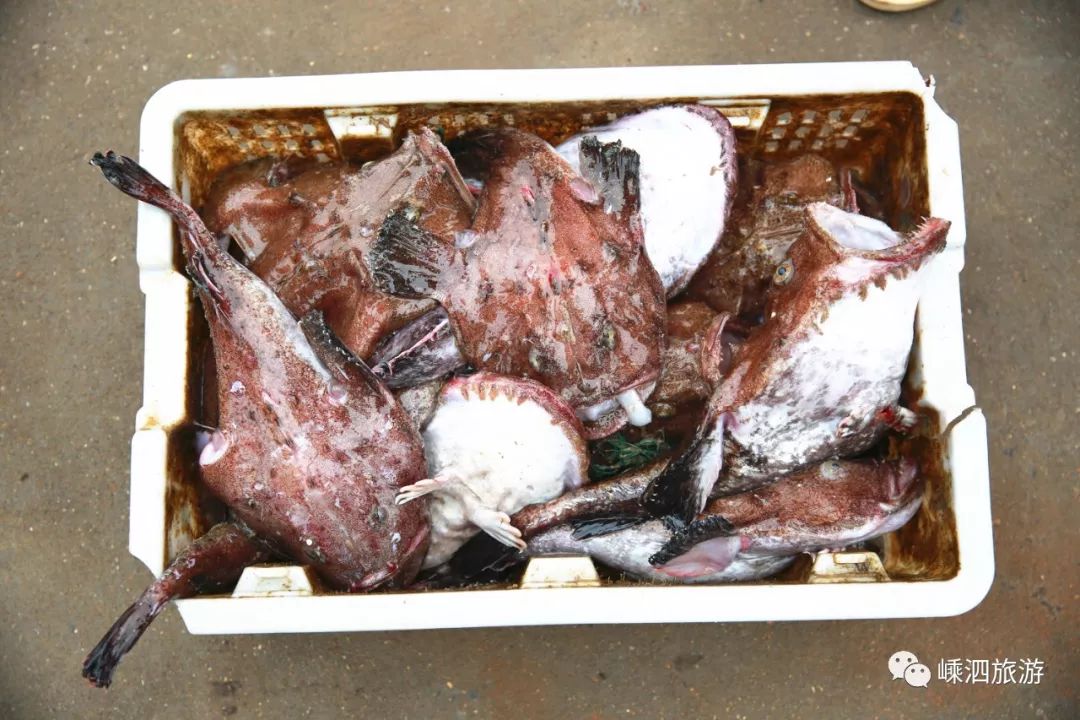 长牙齿就算了还长这么丑这个鱼是海霸王吗