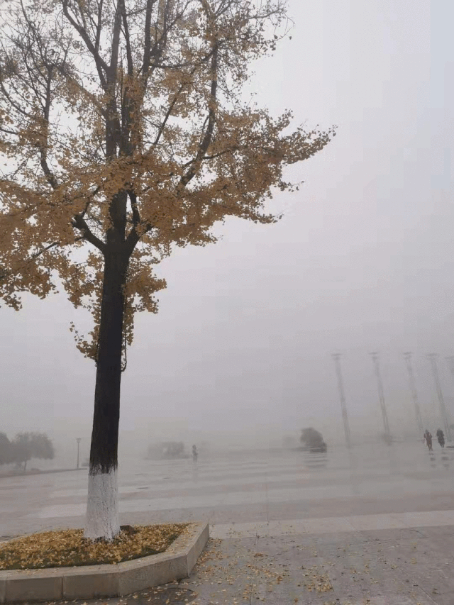 图据:微博网友大雾天能见度低,大家一定要注意安全哦~送上一份国家