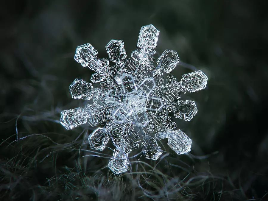 同样是拍雪这就是摄影师和普通人的差别