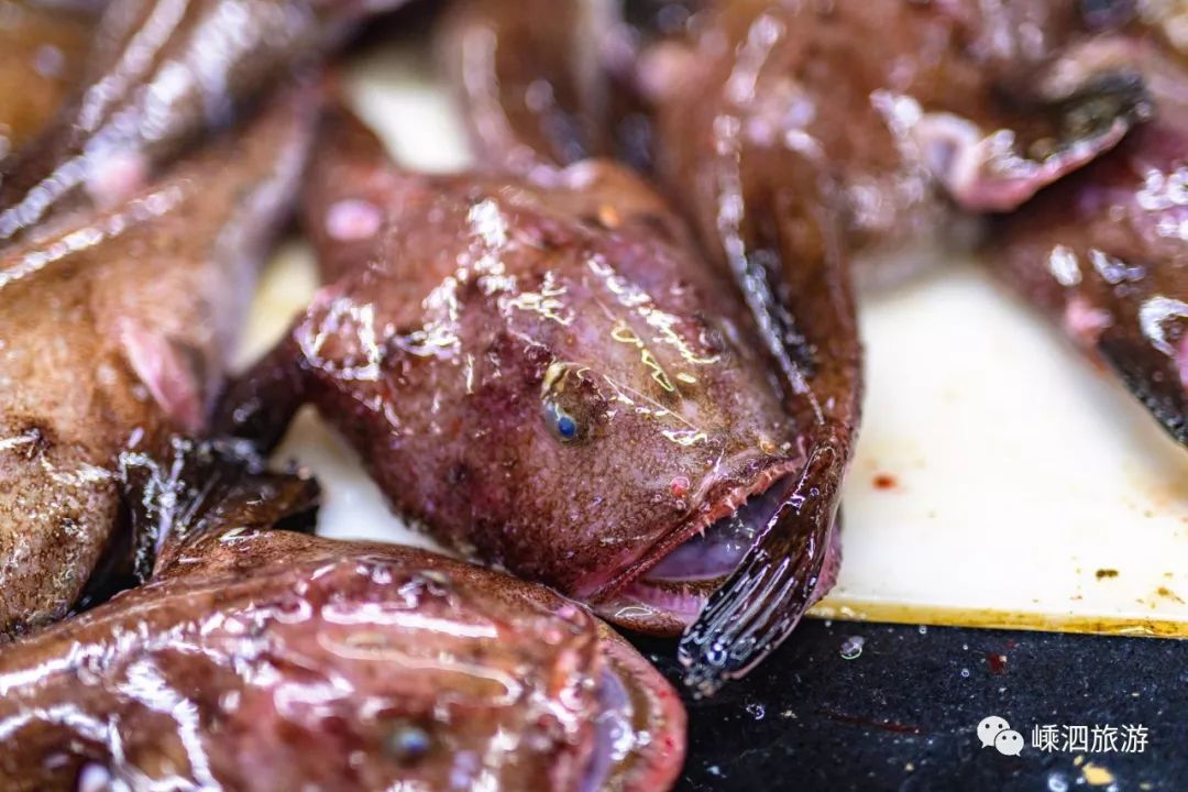 长牙齿就算了还长这么丑这个鱼是海霸王吗