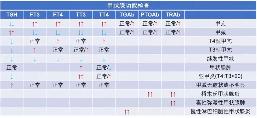 甲功五项正常值图片